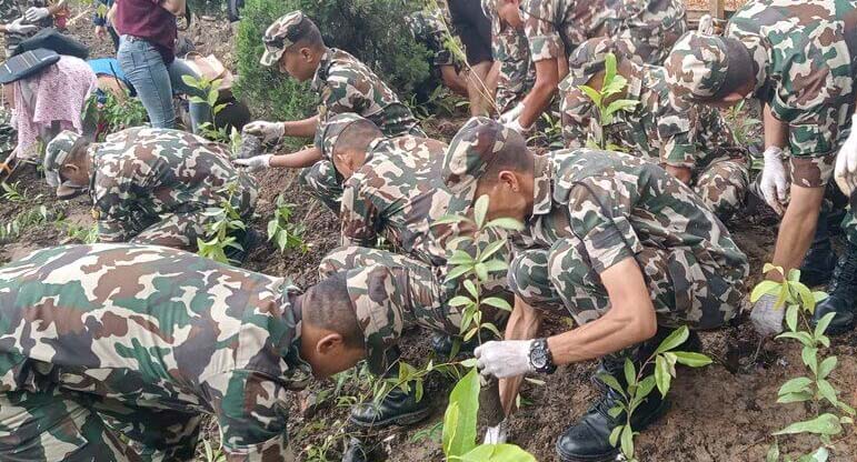 श्रीजंग गणका सेनाद्वारा वृक्षारोपण अभियान