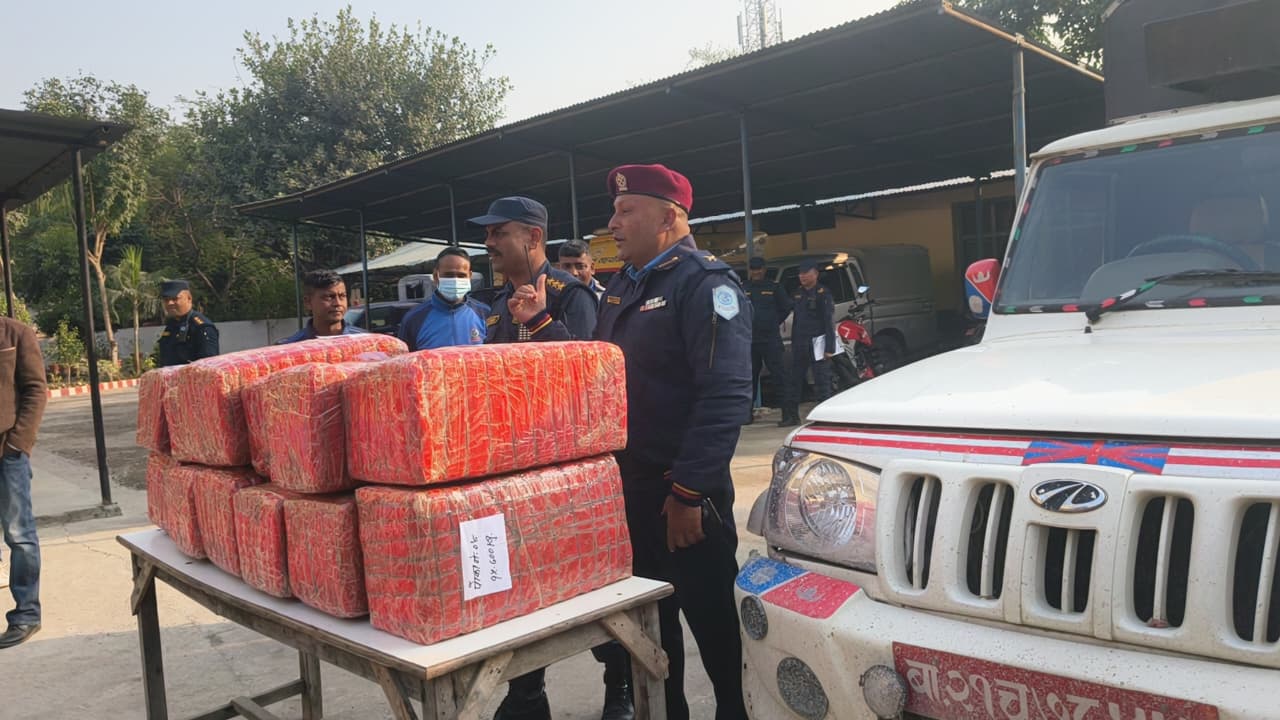 पर्सामा १७६ केजी गाँजा सहित पिकअप गाडी र एक व्यक्ति पक्राउ